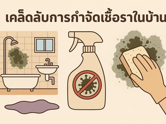 เคล็ดลับการกำจัดเชื้อราในบ้าน