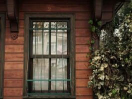 ถอดรหัสการเลือกของใช้ในบ้านและนอกบ้าน: ซื้ออย่างไรไม่ให้เสียเงินฟรี